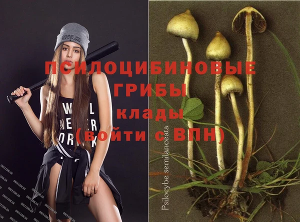 таблы Алзамай