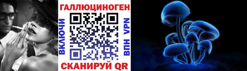 купить цена Талдом Псилоцибиновые грибы Cubensis